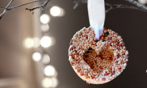 seed ornament 1