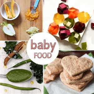 save-baby-food-you-can-make